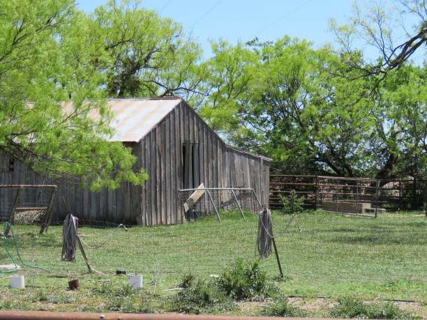 istock rustic shed, water hoses on posts to water garden 1144425586