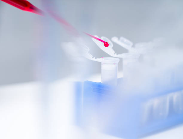 Cell culture assay to test genetically modified seed. stock photo