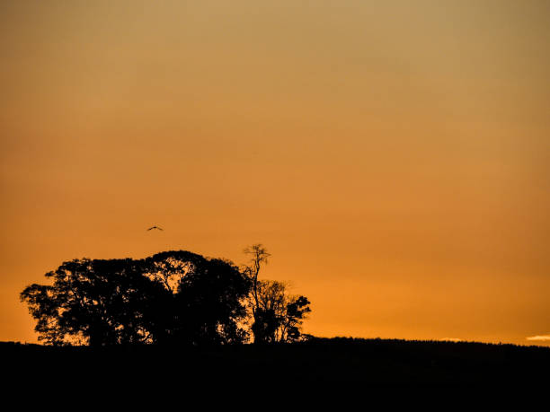 istock Beautiful Sky after the Sunset 1144432932