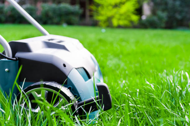 Scarifier Work into the garden stock photo