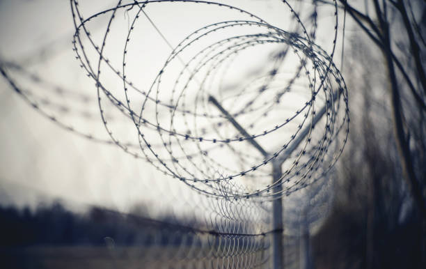 istock Abstract background with coils of barbed wire. 1144435013