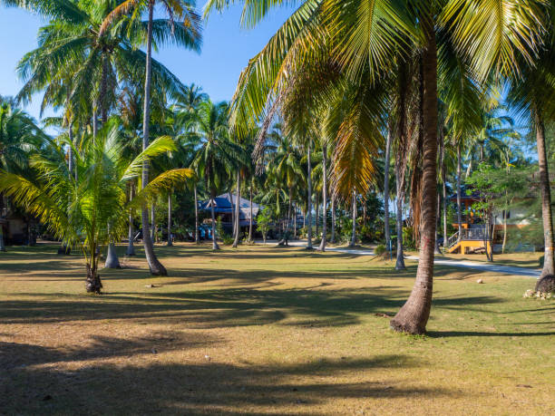 istock House deep in the palm grove 1144435211