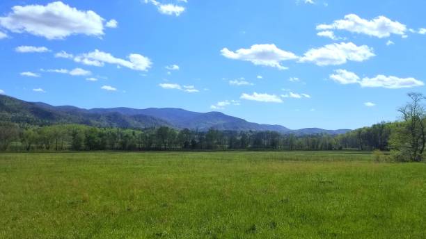 istock Colorful April Mountain Pasture Vista 3 1144437759