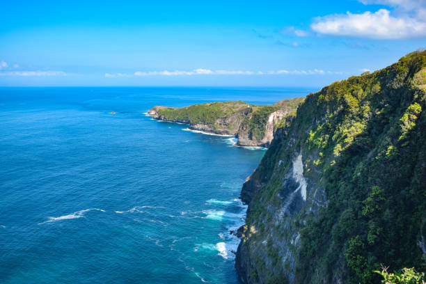 istock High Angle view over the Kelingking Beach in Indonesia 1144438812