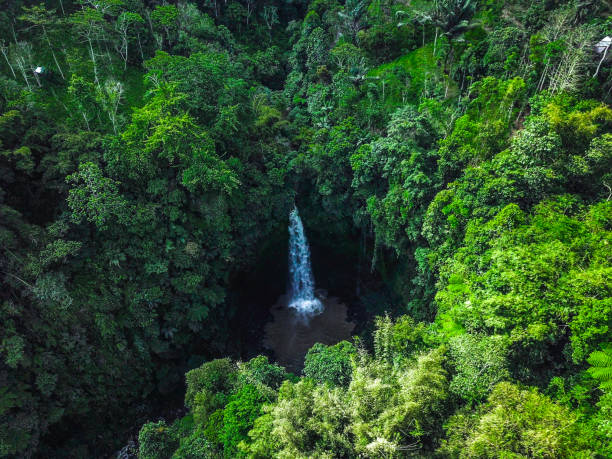 istock Nungnung waterfall in Bali 1144438847