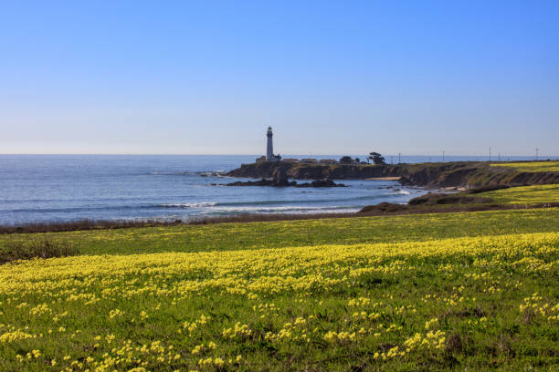 istock CA coastline with a jetty and lighthouse 1144441615