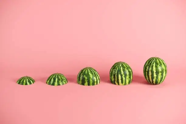 Photo of Slices of fresh watermelon on pink background. Minimal fruit idea concept.