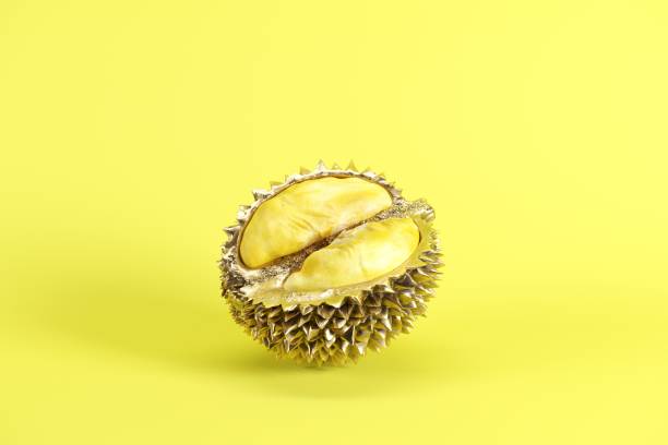 istock Fresh cut ripe durian isolated on yellow background. Minimal fruit idea concept. 1144441693