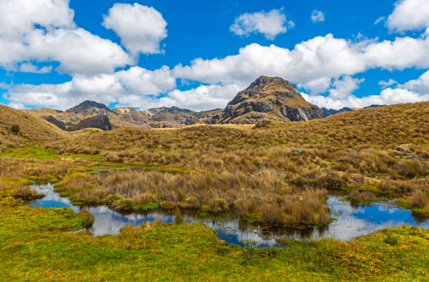 istock Cajas national park near Cuenca, Ecuador 1144442326