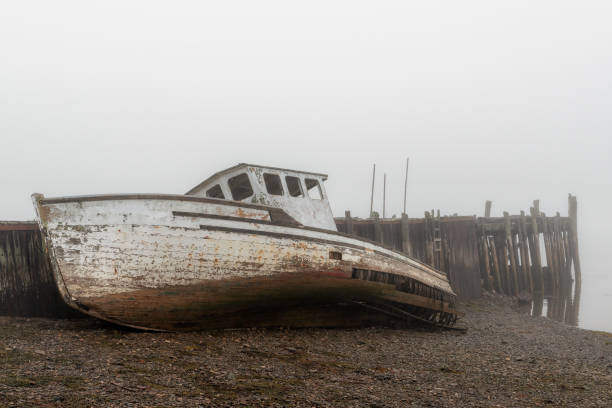 istock Shipwrecked Fishing Boat 1144443214