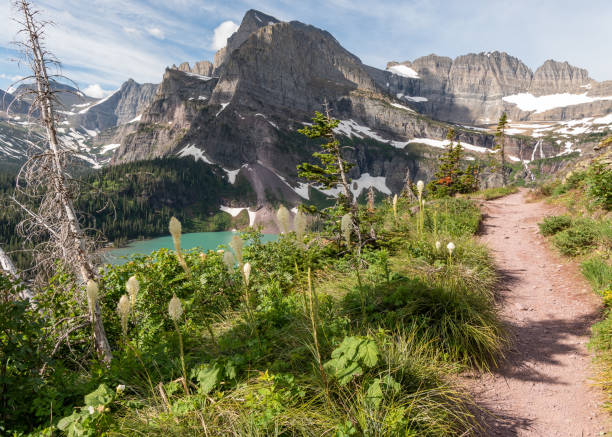 istock Beargrass and Trail to Grinnell Glacier 1144443314