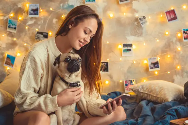Young woman creative weekend at home with a pug-dog browsing smartphone internet social media smiling relaxed