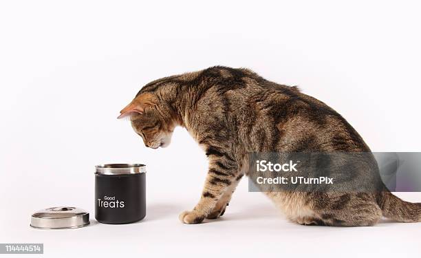 Cat Treats Stock Photo - Download Image Now - Domestic Cat, Canister, Jar
