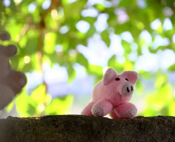 Amazing funny scene with handmade pink pig stand under green tree canopy, close up shot of knitted piggy with blur background of fig trees on day