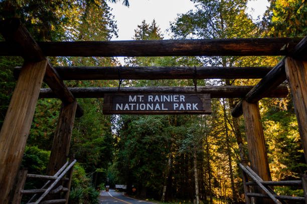 istock Loooking up at Mt Rainier National Park 1144446556