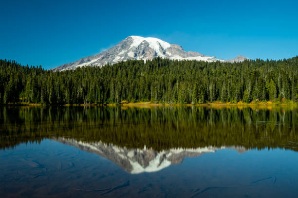 istock Mount Rainier and Pine Trees Reflect in Blue Lake 1144447259