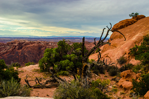 View of the mountain landscape in the Atacama, Chile.