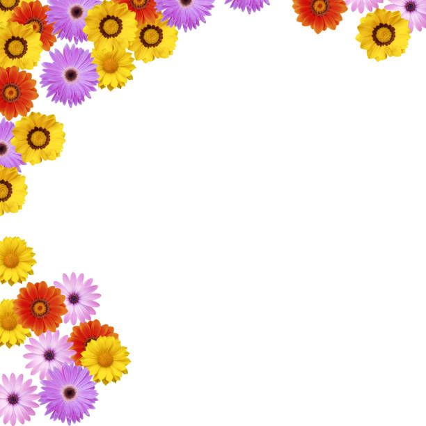 istock Spring flower border XXXL+ 114445508
