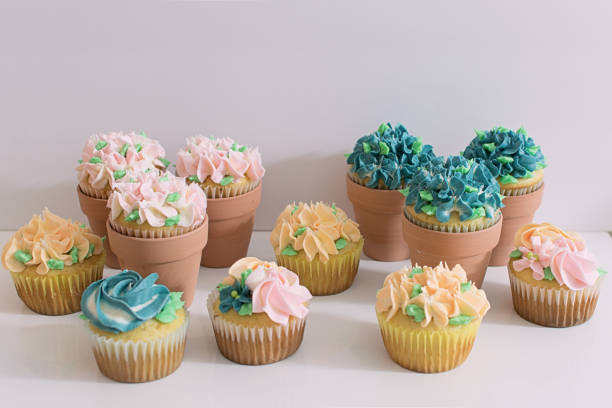 Assorted Garden Party Cupcakes in Terracotta Pots