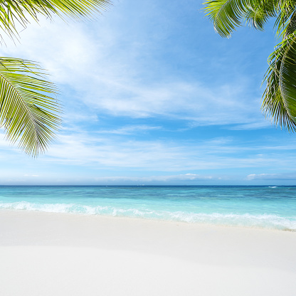 Escena de la playa tropical Copy Space photo