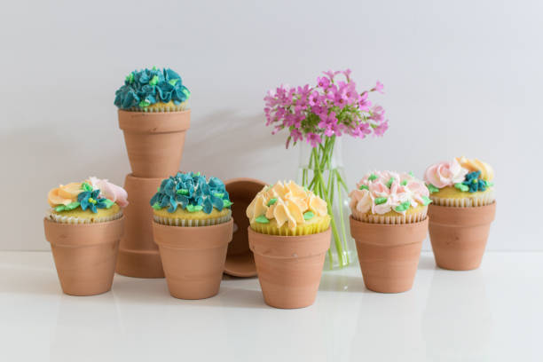 istock Assorted Garden Party Cupcakes in Terracotta Pots 1144457268
