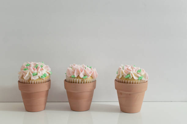 istock Pink Garden Party Cupcakes in Terracotta Pots 1144457916