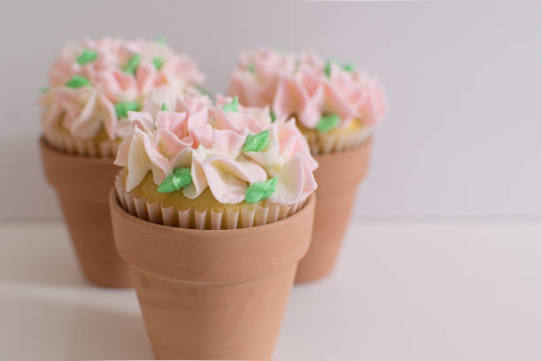 istock Pink Garden Party Cupcakes in Terracotta Pots 1144458018