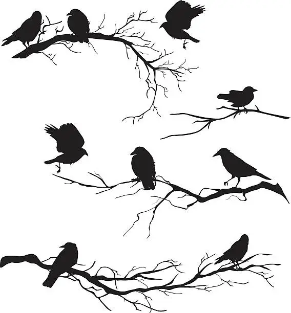 Vector illustration of Black Silhouette Crows Perched on Branches of Various Lengths
