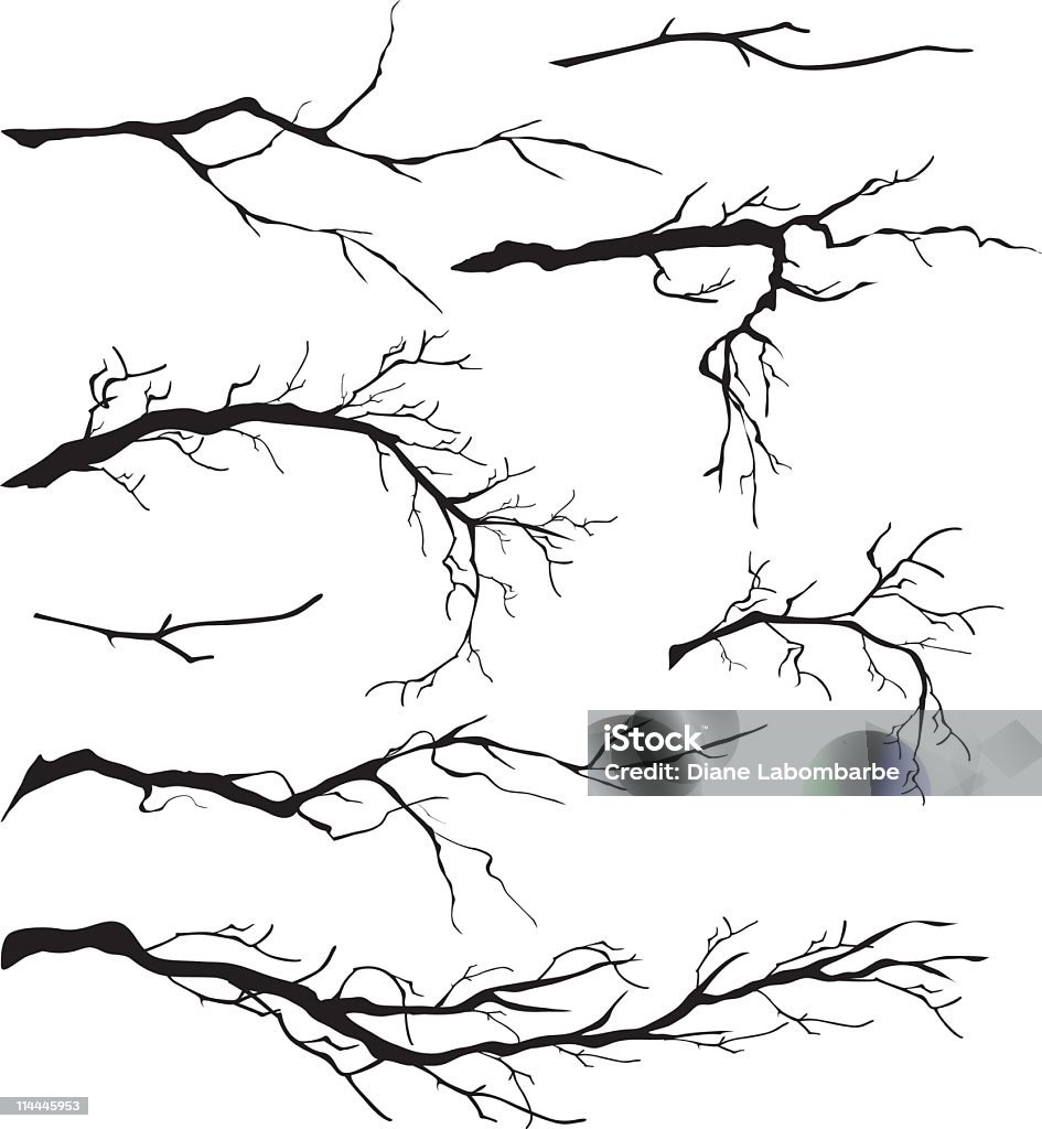 Un assortiment de Silhouettes de Branches d'arbres nues isolés - clipart vectoriel de Branche - Partie d'une plante libre de droits