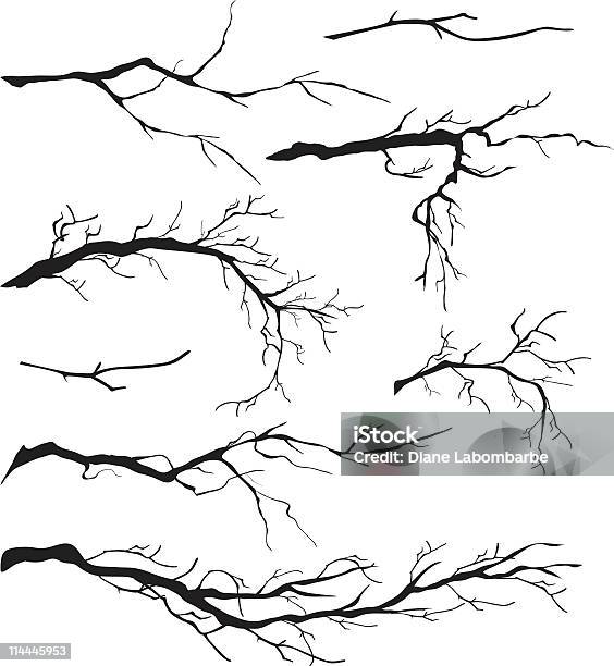 Un Assortimento Di Albero Spoglio Isolato Rami Modelli - Immagini vettoriali stock e altre immagini di Ramo - Parte della pianta