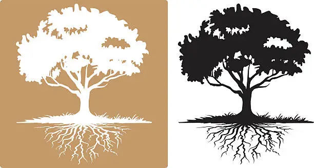 Vector illustration of Two Tree with Visible Roots White and Black Silhouettes