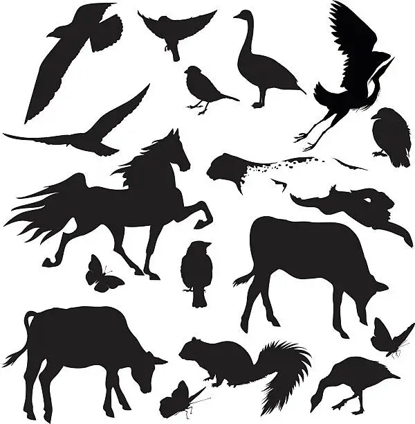 Vector illustration of Animal & Bird Silhouette Set