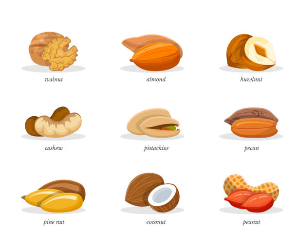 Nuts vector illustrations set Nuts vector illustrations set. Sliced walnut, almond, hazelnut isolated cliparts. Chopped tropical coconut. Cashew, pistachios, pecan, peanut flat design elements. Forest pine nut with title naming organic compounds stock illustrations