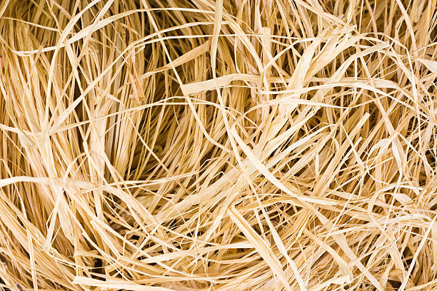 Raffia background close-up of a box filled with Raffia. rafia is a type of natural ribbon used by florists and hobbyists. raffia stock pictures, royalty-free photos & images