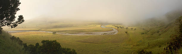 misty mañana, el parque nacional royal natal, sudáfrica - tugela river fotografías e imágenes de stock