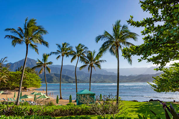 strand in einem resort an der hanalei bay und der na pali küste princeville kauai hawaii usa - kauai travel destinations tourism photography stock-fotos und bilder