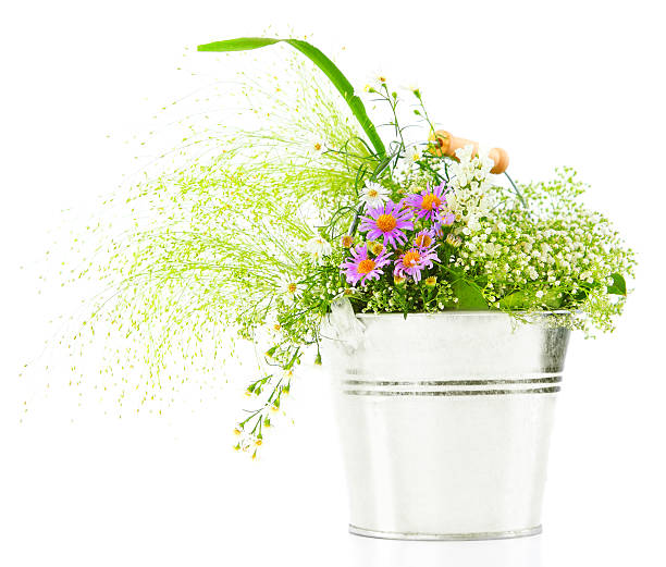 istock Bucket of fresh spring wild flowers 114446326