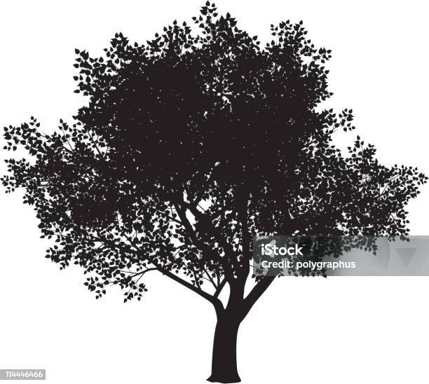 Baum Silhouette Stock Vektor Art und mehr Bilder von Kontur - Kontur, Baum, Ulme