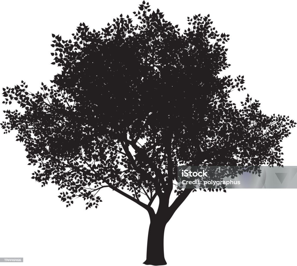 Silueta de árbol - arte vectorial de Silueta libre de derechos