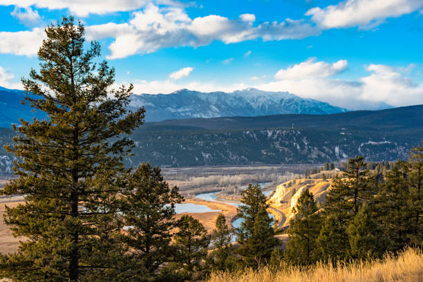 columbia river valley in the east kootenays near radium hot springs british columbia canada in the early winter - radium imagens e fotografias de stock