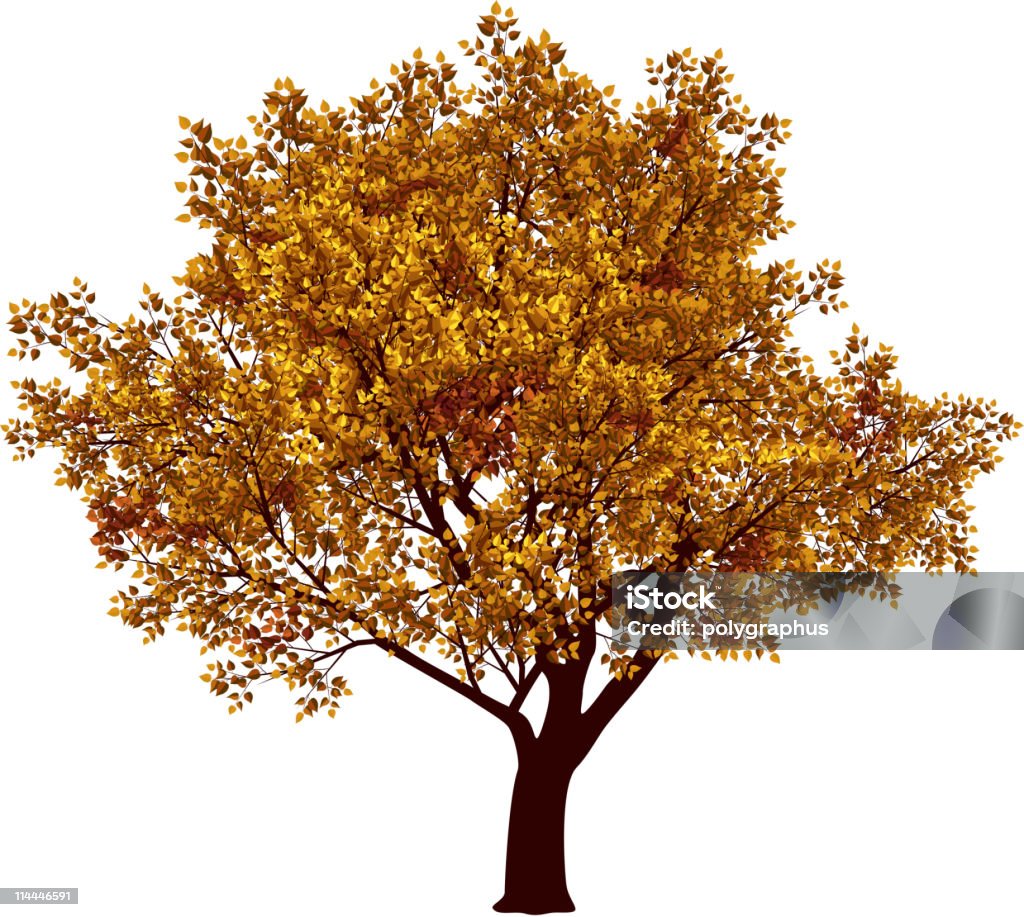 Detailed Fall Tree Fall Tree Stock Illustration - Download Image Now - Autumn, Branch ...