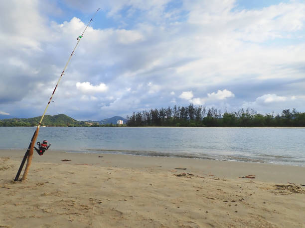 istock Closeup with fishing activity on the sea shore. 1144466038