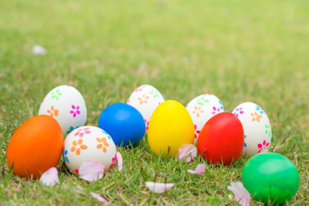 istock Easter egg, happy Easter sunday hunt holiday decorations 1144469740
