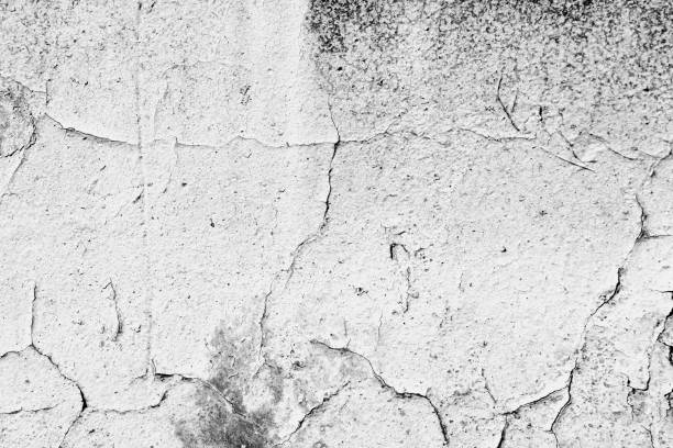 istock Old painted wall background texture close up. Black and white 1144474220