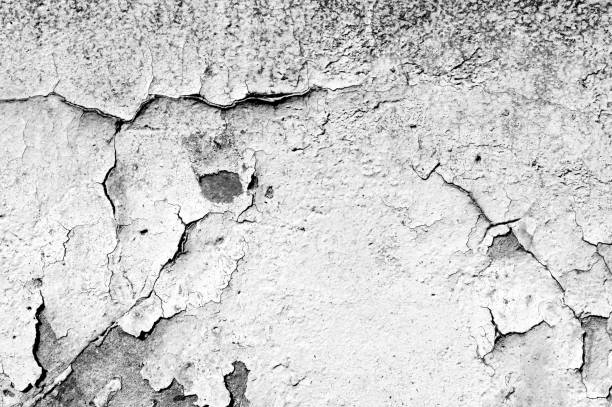 istock Old painted wall background texture close up. Black and white 1144474229