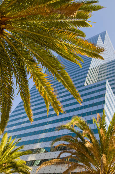 istock Los Angeles Business Building 1144474932