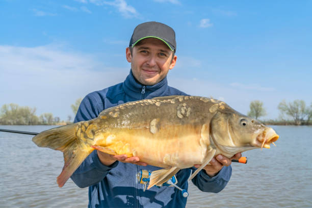 istock Fishing backgrounds. Fisherman with carp fish in hands. 1144476562