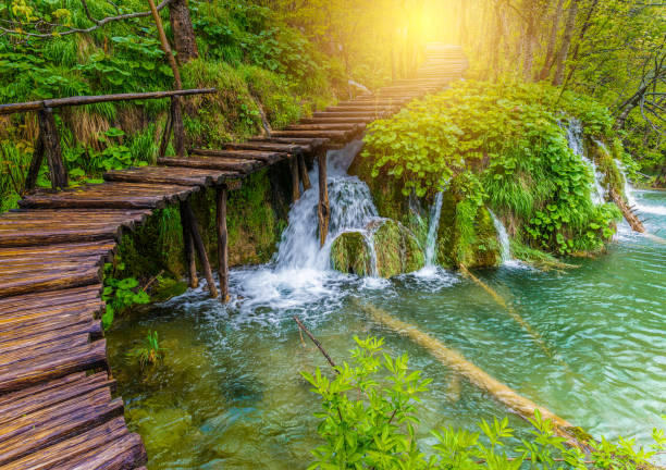istock Tourist path in Plitvice lakes 1144477849