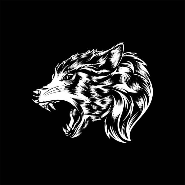 ilustraciones, imágenes clip art, dibujos animados e iconos de stock de wolf head vector - perro salvaje
