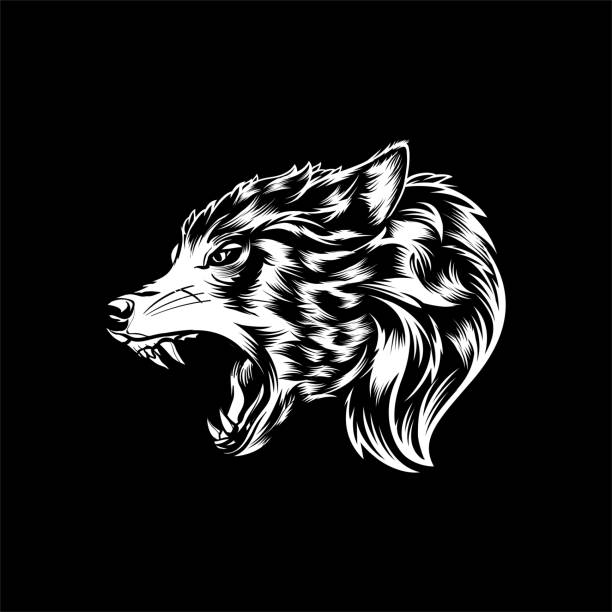 ilustrações de stock, clip art, desenhos animados e ícones de wolf head vector - canino dente